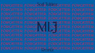 Mr Little Jeans  Forgetter Sofi Tukker Remix Audio [upl. by Anehsat418]