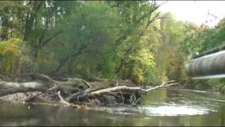 Early Season Wood Ducks  a Geese At Your Feet Specialty [upl. by Elagibba]