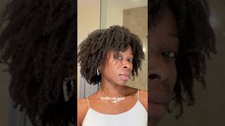 Can 4c Hair Be Defined curldefinition curlyhairstyles 4chair [upl. by Ellirehs]