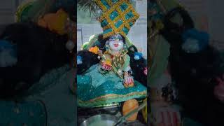 Charan Darshan Jay Shri Krishna🙏🙏😍😍 mostpopularshyambaba [upl. by Nagaet]