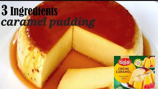 3 ingredients  Creme Caramel pudding  at home with caramel mix VASnatureAndCraft cooking [upl. by Enelegna416]