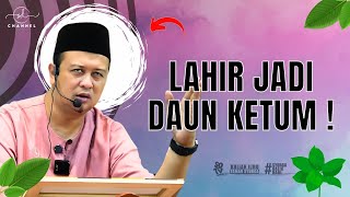 SYAMSUL DEBAT  LAHIR JADI DAUN KETUM  SHORTS [upl. by Novaj460]