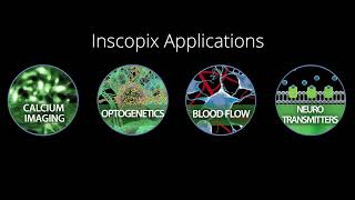 Inscopix Applications [upl. by Arad]