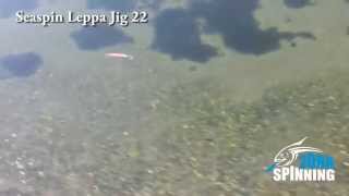 SEASPIN LEPPA JIG 22mp4 [upl. by Eniamrej]