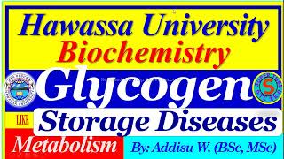 Glycogen Storage Diseases glycogenesis glycogenolysis glycogen metabolism [upl. by Joana]