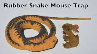 Introducing The Rubber Snake Mouse Trap  Snowflake Sunday Version [upl. by Kerwon]