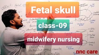 Fetal skull Midwifery [upl. by Adnerb]