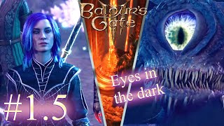 Baldurs Gate 3  Nerys  Act 1  Episode 5 [upl. by Enrak110]