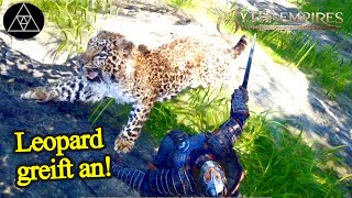 LeopardenAngriff NPCs betäuben amp zähmen ► E10 Myth of Empires Gameplay [upl. by Esch]