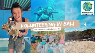 VOLUNTEERING IN BALI  the BEST decision of my life  sea turtle conservation with IVHQ pt 1 [upl. by Amlas]