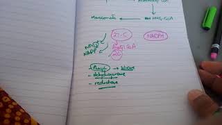 CHOLESTROL SYNTHESIS in EASIEST way part 1 [upl. by Cornel]