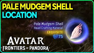 Pale Mudgem Shell Exquisite Location Avatar Frontiers of Pandora [upl. by Convery642]