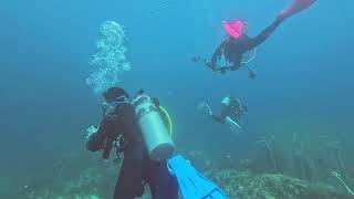 Diving into a hurricane of barracudas and yellowtail snappers at Rayong [upl. by Anaiviv]