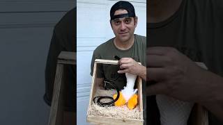 DIY Nesting Boxes For Chicken Coops chickens chickencoop shorts [upl. by Jepum]