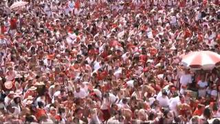 Biggest flash mob in Bayonne France 2010 [upl. by Irep]