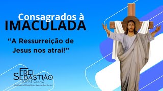 quotA Ressurreição de Jesus nos atraiquot  Frei Sebastião Benito Quaglio [upl. by Wilde894]