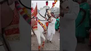 Chandraprabha ringan chandrabhaga horse entertaining youtuber ram vlog [upl. by Yaf]