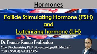 Gonadotropins Follicle Stimulating Hormone FSH and Luteinizing hormone LH [upl. by Anaeel48]