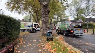 BRAND NEW TRUCK And service IsuzuTerberg Orus Refuse Truck on food wasteMFJ on garden waste [upl. by Tonia]