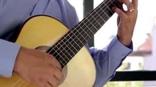 Milonga  Jorge Cardoso David Sossa Guitar [upl. by Charmaine]