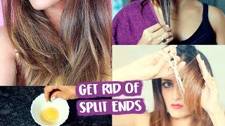 5 Split Ends Home Remedies amp Treatment Without Cutting Hair  Knot Me Pretty [upl. by Blondell]