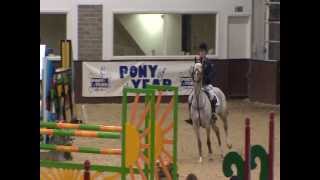 Showjumping  Pony of the Year 2013 [upl. by Child]