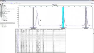 Calibrating Panels in GeneMarker® [upl. by Ahsinac]