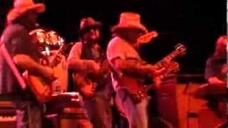 DICKEY BETTS BANDS BREW ampBBQ 02102014 [upl. by Iharas]