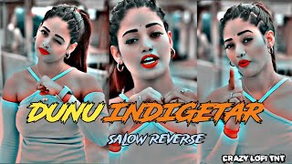 dono indicator bhojpuri song slowed and reverb  dono indicator bhojpuri song lofi remix song [upl. by Reis]