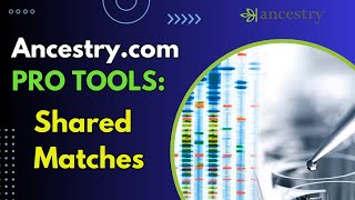 Ancestrycom PRO TOOLS  Shared Matches [upl. by Ahseen841]