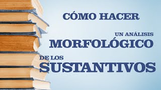 4 MORFOLOGÍA DEL SUSTANTIVO ANÁLISIS MORFOLÓGICO de sustantivos [upl. by Petrick]