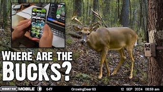 How To Target Bucks With Trail Cameras [upl. by Attelrac]