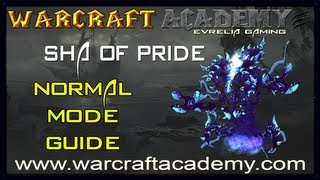 Sha of Pride Normal Guide  Siege of Orgrimmar  Warcraft Academy [upl. by Joung]