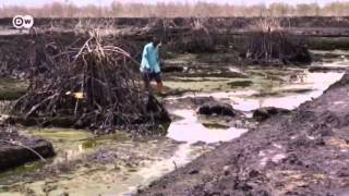 Nigeria Oil pollution in the Niger Delta  Global 3000 [upl. by Settle]