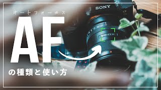 AF（オートフォーカス）の種類と使い方は？3分で解説します。 [upl. by Eiramassenav]