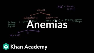 Microcytic normocytic and macrocytic anemias  NCLEXRN  Khan Academy [upl. by Monah]