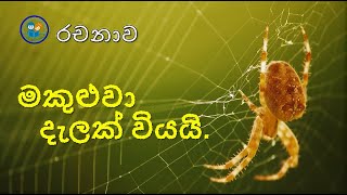 මකුළුවා දැලක් වියයි l makuluwa dalak wiyai l රචනා l rachana l sinhala l spider Web Build essay [upl. by Lacim]