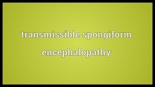 Transmissible spongiform encephalopathy Meaning [upl. by Lamont938]