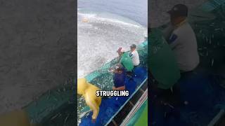 Fishermen Battle to Save Millions of Tiny Fish A Struggle for an Abundant Catch😱😭 shorts [upl. by Einwat617]