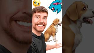 Mrbeast Vende Un Perro De 3 Patas🥹🐶 shorts viral viralvideos mrbeast short reaccionando [upl. by Ainet]