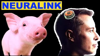 Neuralink Elon Musk amp Pigs  Highlights [upl. by Aneladdam]