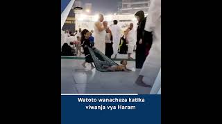 Watoto wanacheza katika viwanja vya Haram [upl. by Herby]