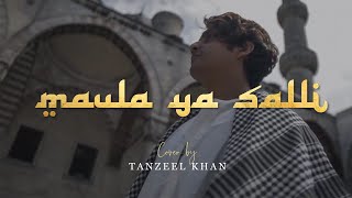 MAULA YA SALLI  Tanzeel Khan [upl. by Aerbma129]