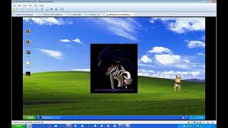 sally on windows xp FOR SAMTALLANT349584985435830958 [upl. by Namolos823]