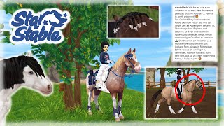 Lasst uns über die GotlandPonys reden😳🚨 Spoiler SSO 🐎 Emily Stonepot [upl. by Latsyek]