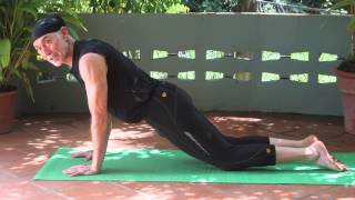 Yoga Plank amp Kneeling Plank Tutorial [upl. by Ludovika436]