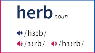 How To Pronounce HERB In British And American English [upl. by Ryon352]