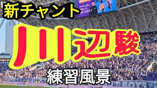 【チャント📣chant】川辺駿 Hayao Kawabe 新しいチャントを練習するサンフレッチェ広島サポーター [upl. by Eem]