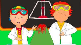 Science Fair  Caillou Compilations [upl. by Betthezul]