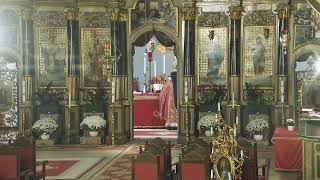 Episcopia GrecoCatolică de Oradea Live Stream [upl. by Cob]